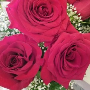 Meet your Posher, Sue